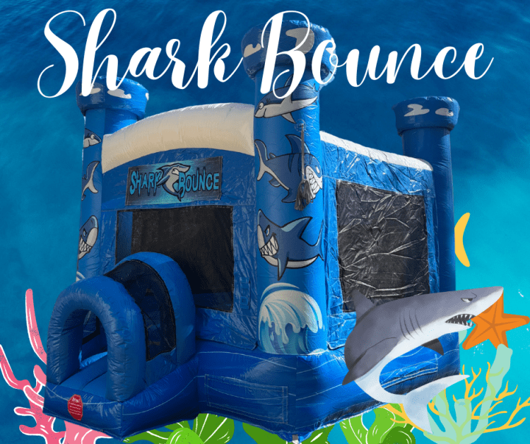 Shark Bounce