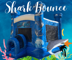 Shark Bounce DRY